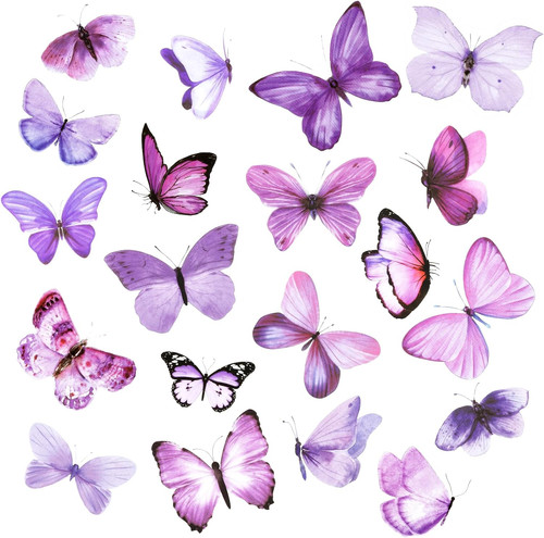 Stück schmetterling - 40,
