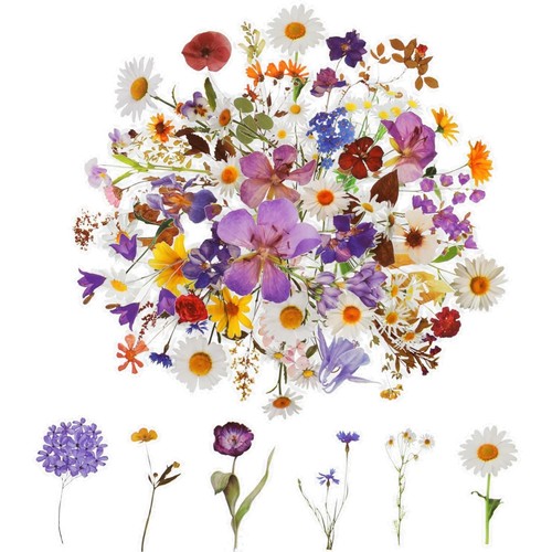 Scrapbooking aufkleber blumen - scrapbooking,