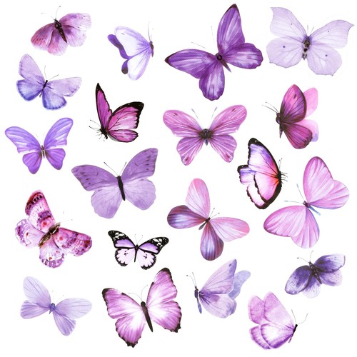 Schmetterling aufkleber deko - schmetterling,